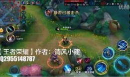 清风王者爆料视频下载安装