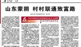 山东蒙阴媒体爆料新闻最新,媒体曝光惊人事件，真相令人震惊！