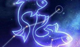 双鱼座女孩爆料视频